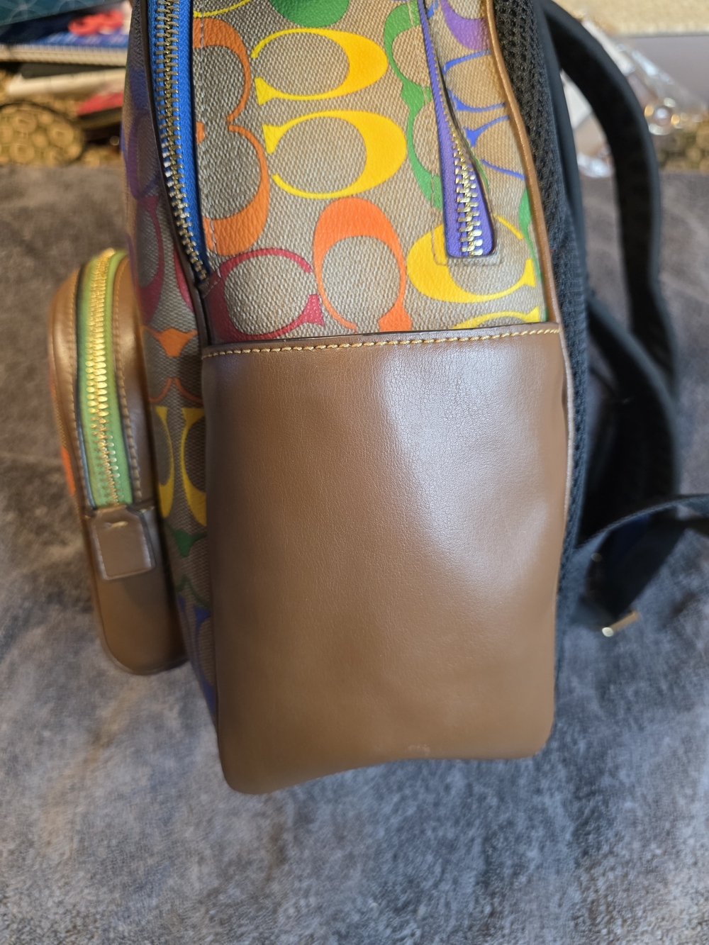 Coach Rainbow Signature Backpack - Multicolor - Picture 10 of 14